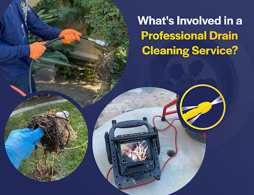 Professional Drain Cleaning Service