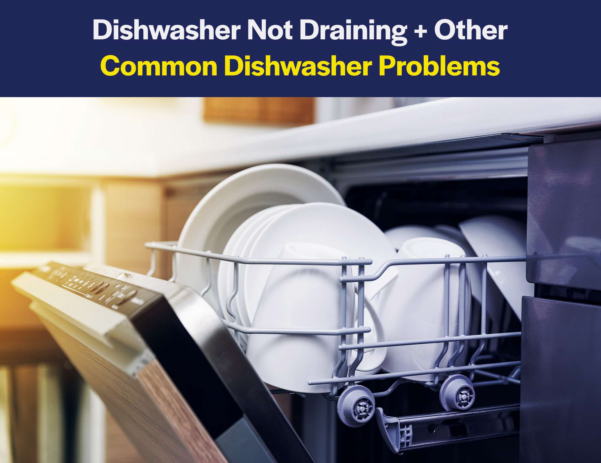 Dishwasher Not Draining and Other Common Dishwasher Problems