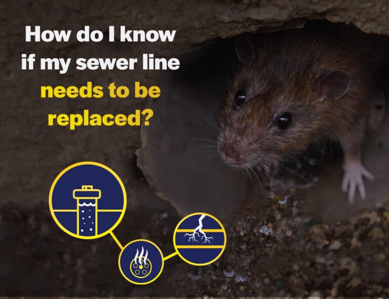 sewer line needs to be replaced