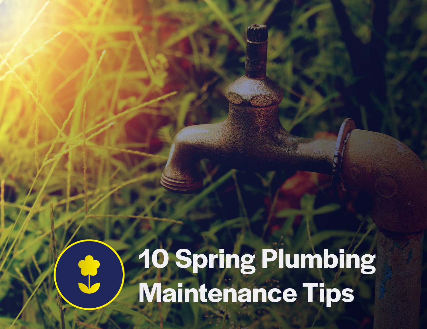 10 Spring Plumbing Maintenance Tips