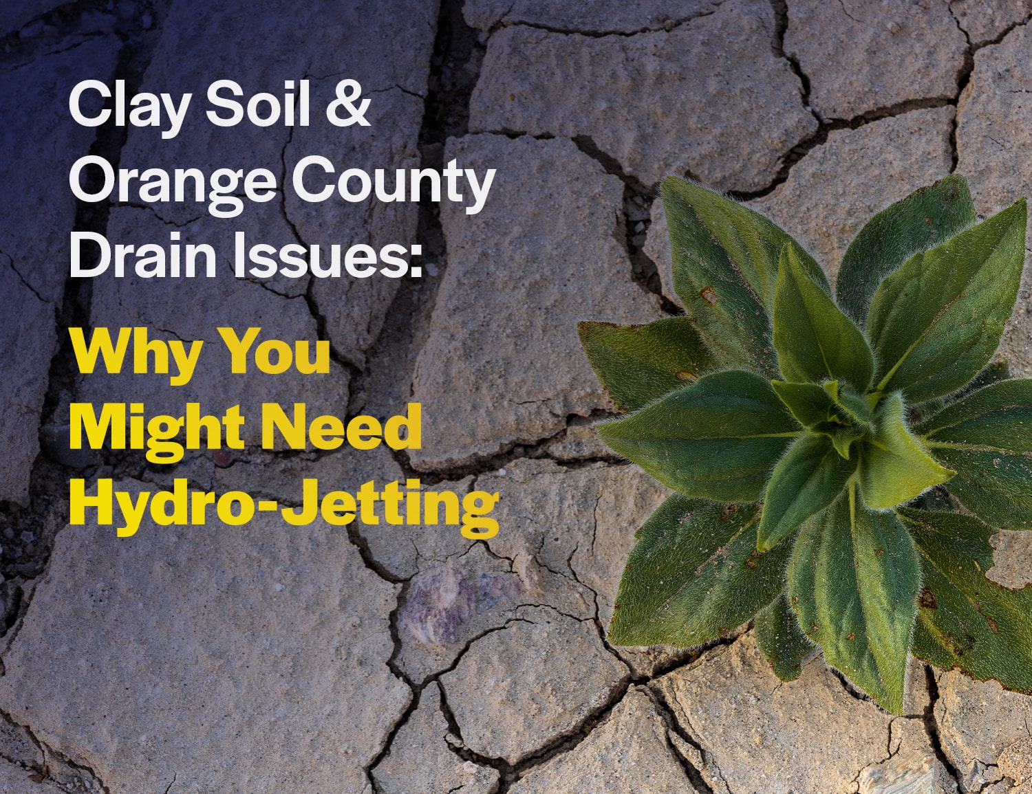 Clay Soil & Orange County Drain Issues: Why You Might Need Hydro-Jetting