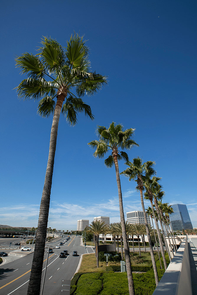 Drain & Sewer Services in Irvine, CA